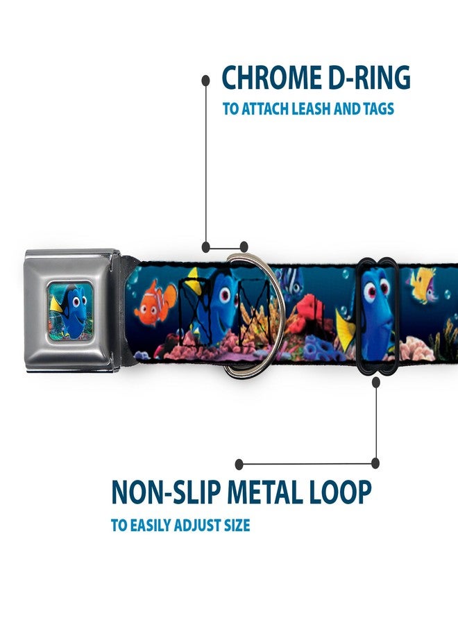 Buckle Down Buckle-Down Dog Collar Seatbelt Buckle Dory Poses Friends Under The Sea 15 to 26 Inches 1.0 Inch Wide - Image 5