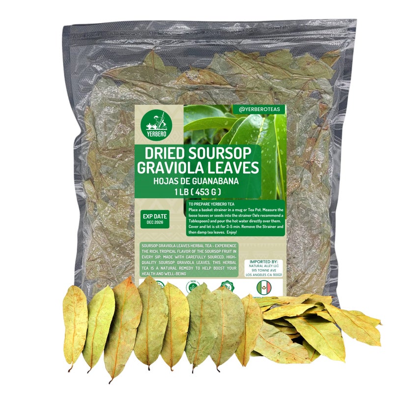 Yerbero - Whole Wildcrafted Dried Graviola Soursop Leaves 1 LB (453g - 1300+ Leaves Per Bag) Hoja De Guanabana Seca, Crafted By Nature | Vacuum Sealed for Freshness | From Mexico | Premium Quality. - Image 1