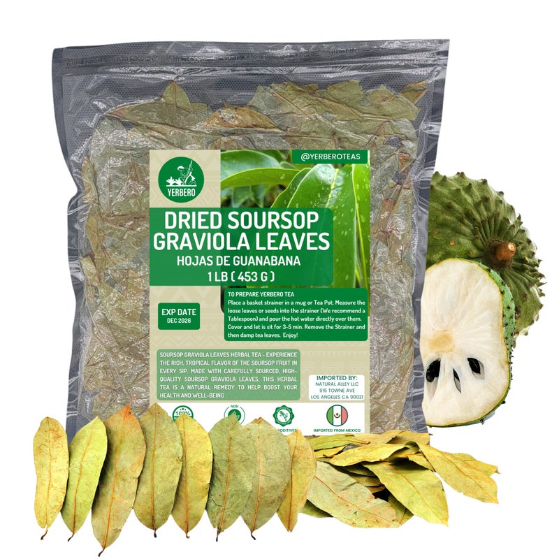Yerbero - Whole Wildcrafted Dried Graviola Soursop Leaves 1 LB (453g - 1300+ Leaves Per Bag) Hoja De Guanabana Seca, Crafted By Nature | Vacuum Sealed for Freshness | From Mexico | Premium Quality. - Image 5