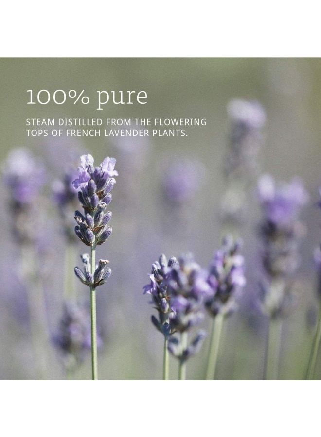 Now Foods Lavender Essential Oil Brown/White 473ml - Image 2