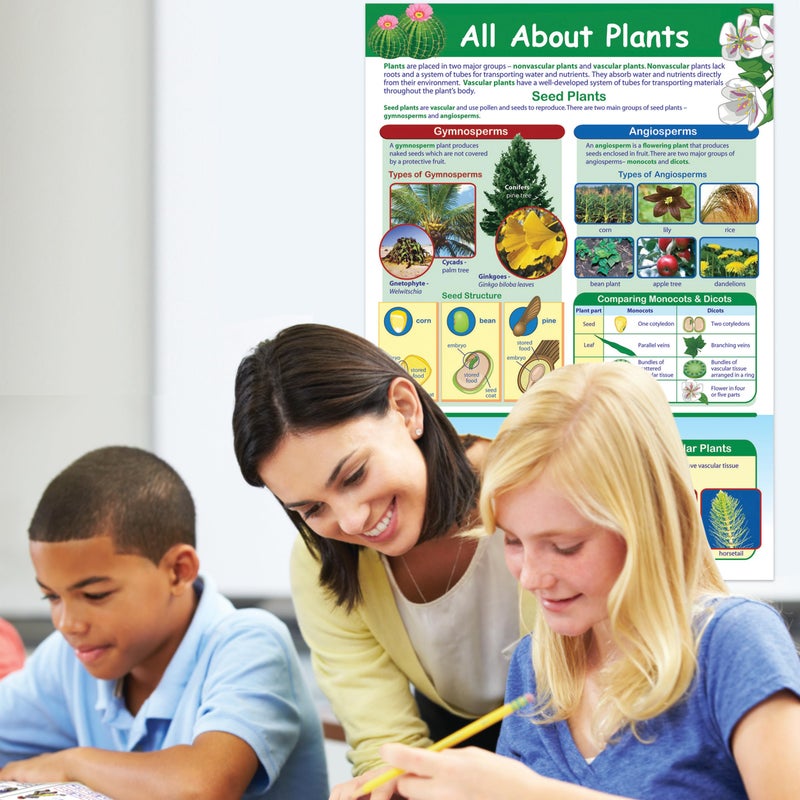 New Path Learning NewPath All About Plants Poster - Laminated, Full-Color, 23" x 35" (34-6113) - Image 3