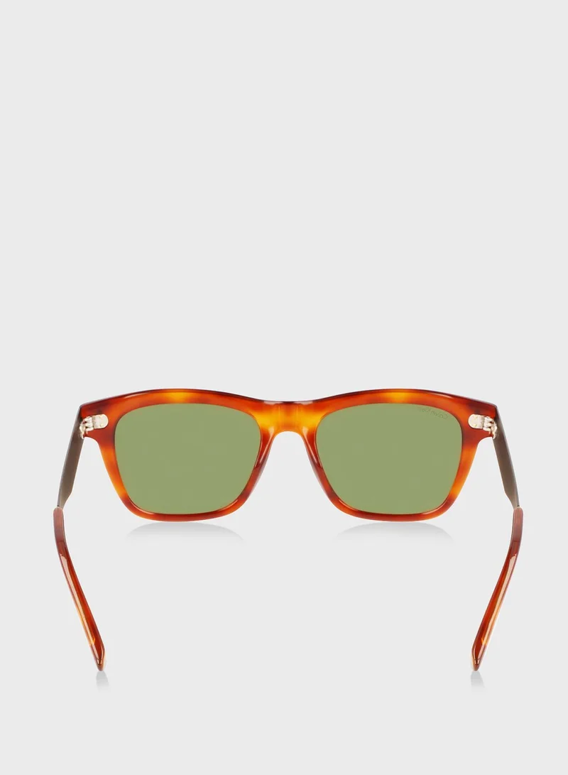 CALVIN KLEIN Wayfarer Sunglasses