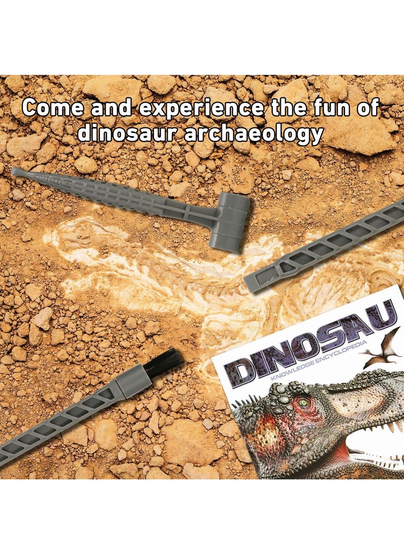 Y&D Archaeological Excavation To Explore Dinosaur Skeleton DIY Assembled Model Toys  - Image 3