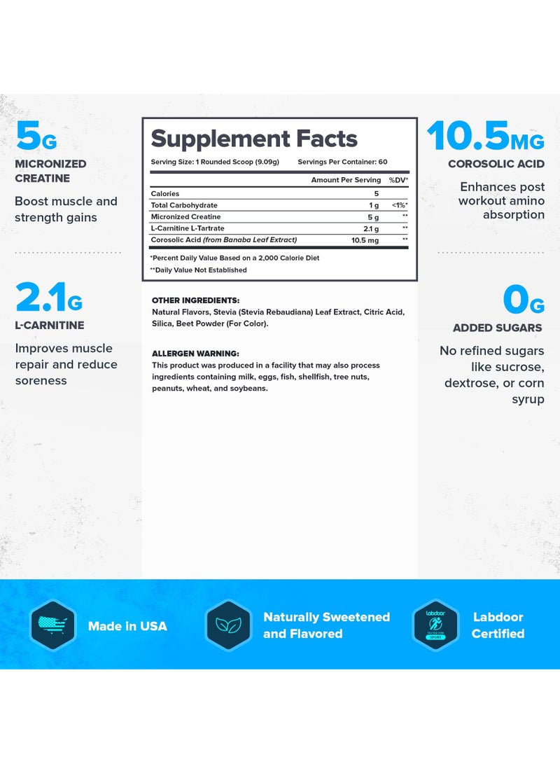 Legion Athletics Recharge Post Workout Drink - Watermellon Flavor, Boosts Muscle growth and Recovery, 5g Micronized Creatine Monohydrate, 2.1g L-Carnitine and L-Tartrate, 546 (91.20 LBS), 60 Servings - Image 3