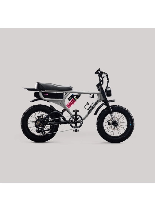 Flight Risk FR555 Electric Bike in Silver with 1000W Max Power Output, Front Exsho & Mid-Range Suspension, 4-Piston Tektro Hydraulic Disc Brakes, Full-Frame Design for Enhanced Stability and Performance - Image 1