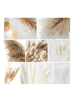 Y&D Natural Dried Pampas Grass Boho Decor Fluffy White Pompous Grass Large Reed Bunny Tail Wheat Stalk Decorative Plumes Italian Ruscus Solidago Goldenrod Flower Bouquet  - Image 2