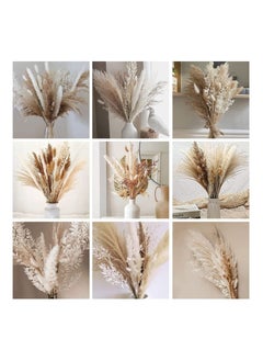 Y&D Natural Dried Pampas Grass Boho Decor Fluffy White Pompous Grass Large Reed Bunny Tail Wheat Stalk Decorative Plumes Italian Ruscus Solidago Goldenrod Flower Bouquet  - Image 3