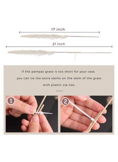 Y&D Natural Dried Pampas Grass Boho Decor Fluffy White Pompous Grass Large Reed Bunny Tail Wheat Stalk Decorative Plumes Italian Ruscus Solidago Goldenrod Flower Bouquet  - Image 5