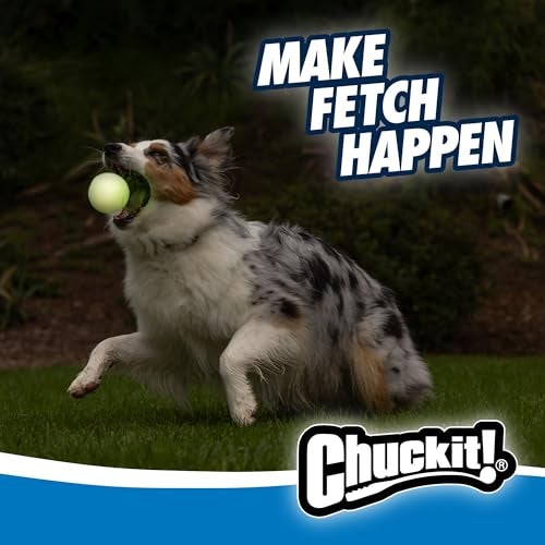 Chuckit! Glow in the Dark Bouncy Balls - Ball for Dogs, Chuckit Dog Toy, Max Glow Balls - Medium, 2.5 Inch Pack of 2 - Image 5