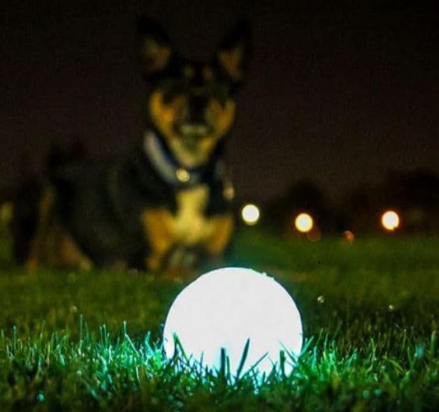 Chuckit! Glow in the Dark Bouncy Balls - Ball for Dogs, Chuckit Dog Toy, Max Glow Balls - Medium, 2.5 Inch Pack of 2 - Image 2