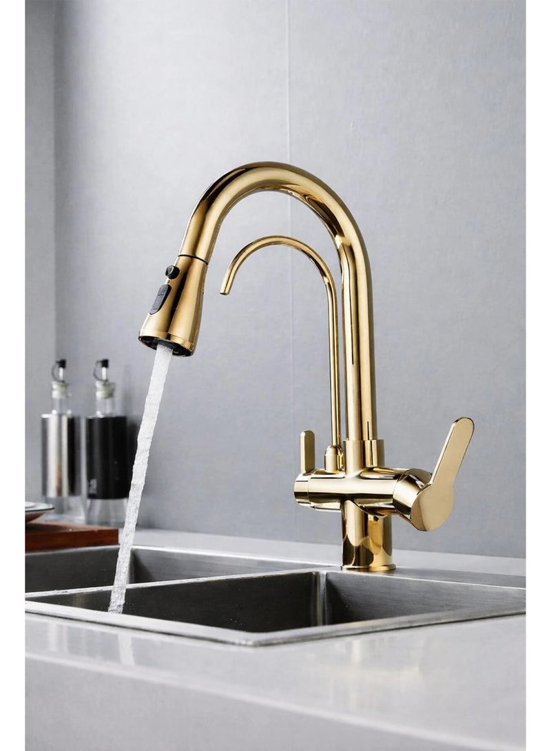 روما حنفية مطبخ ذهبية Roma بمقبضين 3 طرق مع رأس سحب دوران 360° للمياه العادية والمفلترة - Image 4