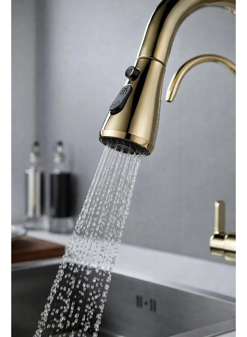 روما حنفية مطبخ ذهبية Roma بمقبضين 3 طرق مع رأس سحب دوران 360° للمياه العادية والمفلترة - Image 3