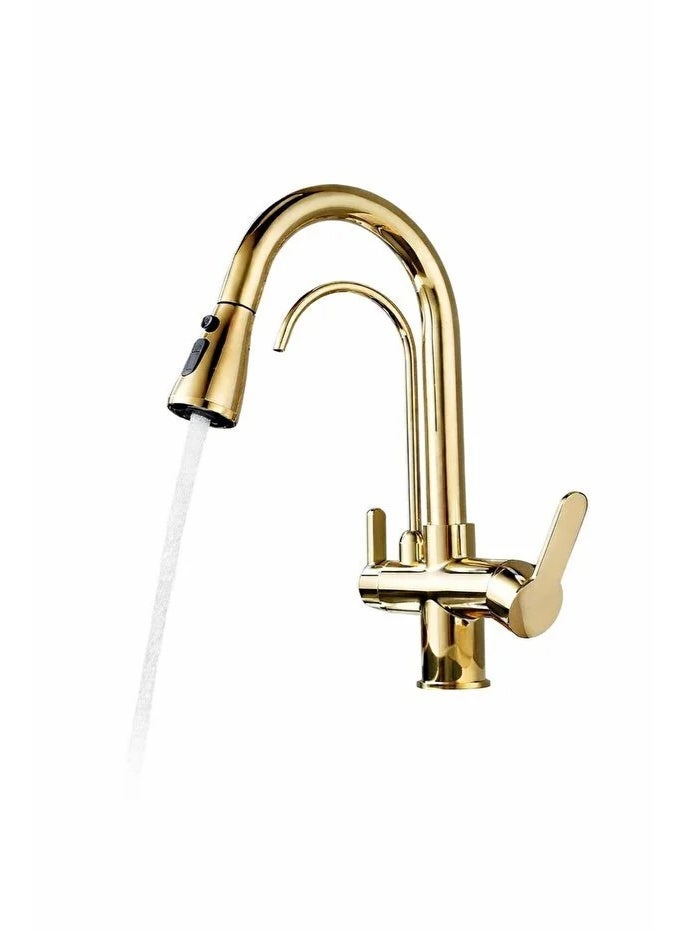 روما حنفية مطبخ ذهبية Roma بمقبضين 3 طرق مع رأس سحب دوران 360° للمياه العادية والمفلترة - Image 2