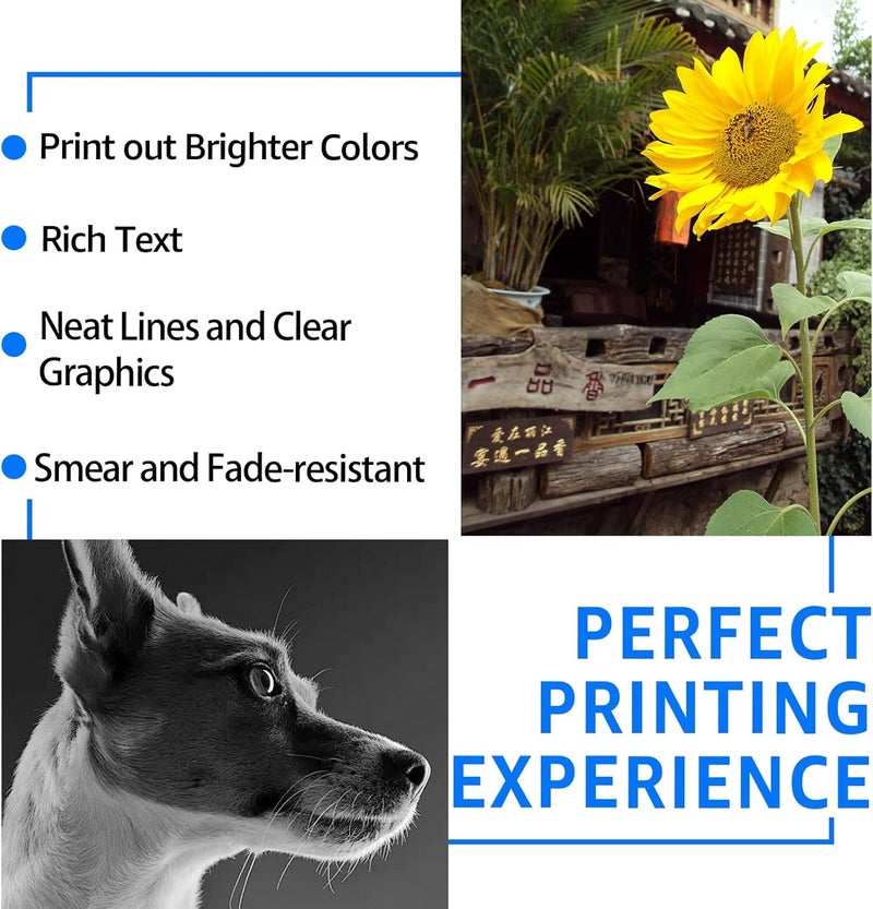 SuperInk Remanufactured Ink Cartridge Compatible for HP C9351A C9352CE 21 22 21XL 22XL Used with DeskJet f4140 f2110 d1560 Officejet 4315 J3680 4315y FAX 1250 3180 Printer (Black Tri-Color,2 Pack) - Image 5
