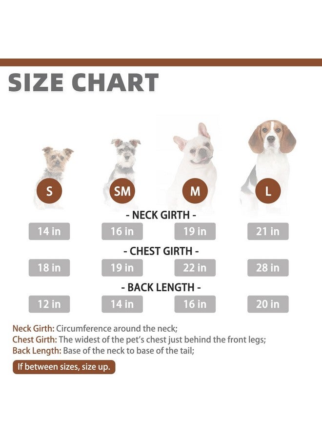 KOOLTAIL Dog Lion Costume, Dog Halloween Costume, Lion Mane Fleece Dog Sweater Hoodie,Pet Funny Cosplay Dress Up Halloween Party, Cold Weather Coats With Leash Hole For Small Medium Large Dogs M - Image 2