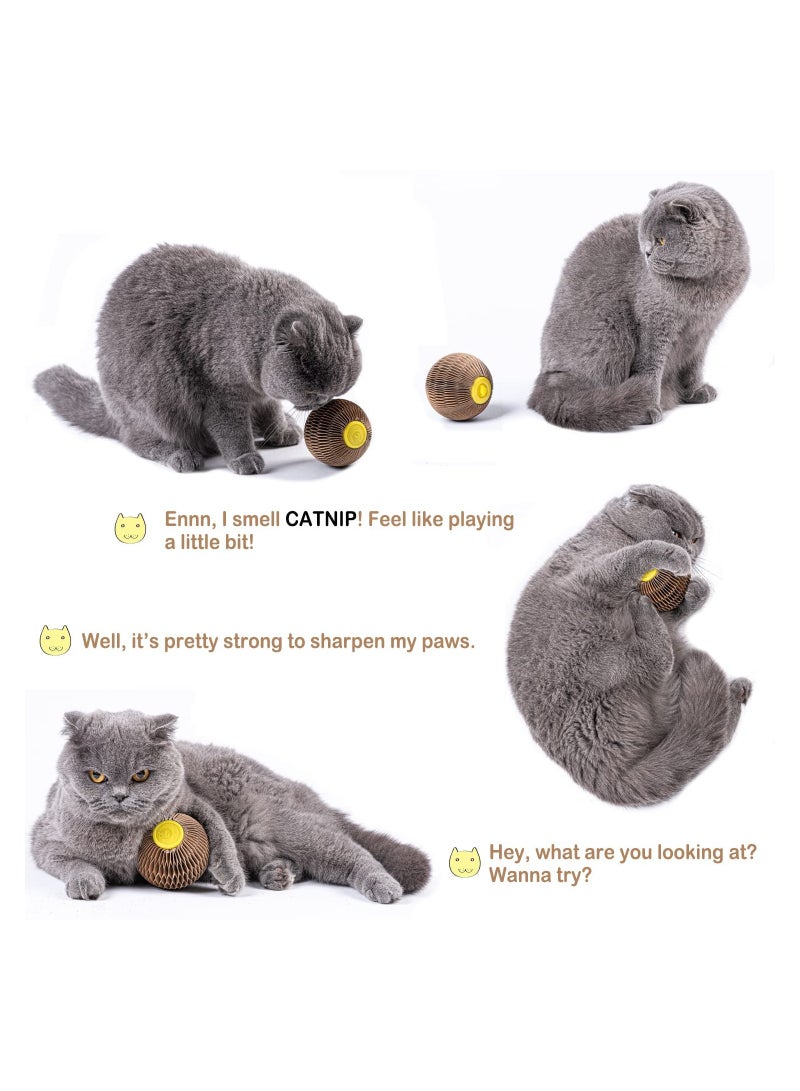 Interactive Catnip Ball Toy for Cats Refillable Fun Ball for Healthy Play Reduces Obesity and Loneliness - Image 1