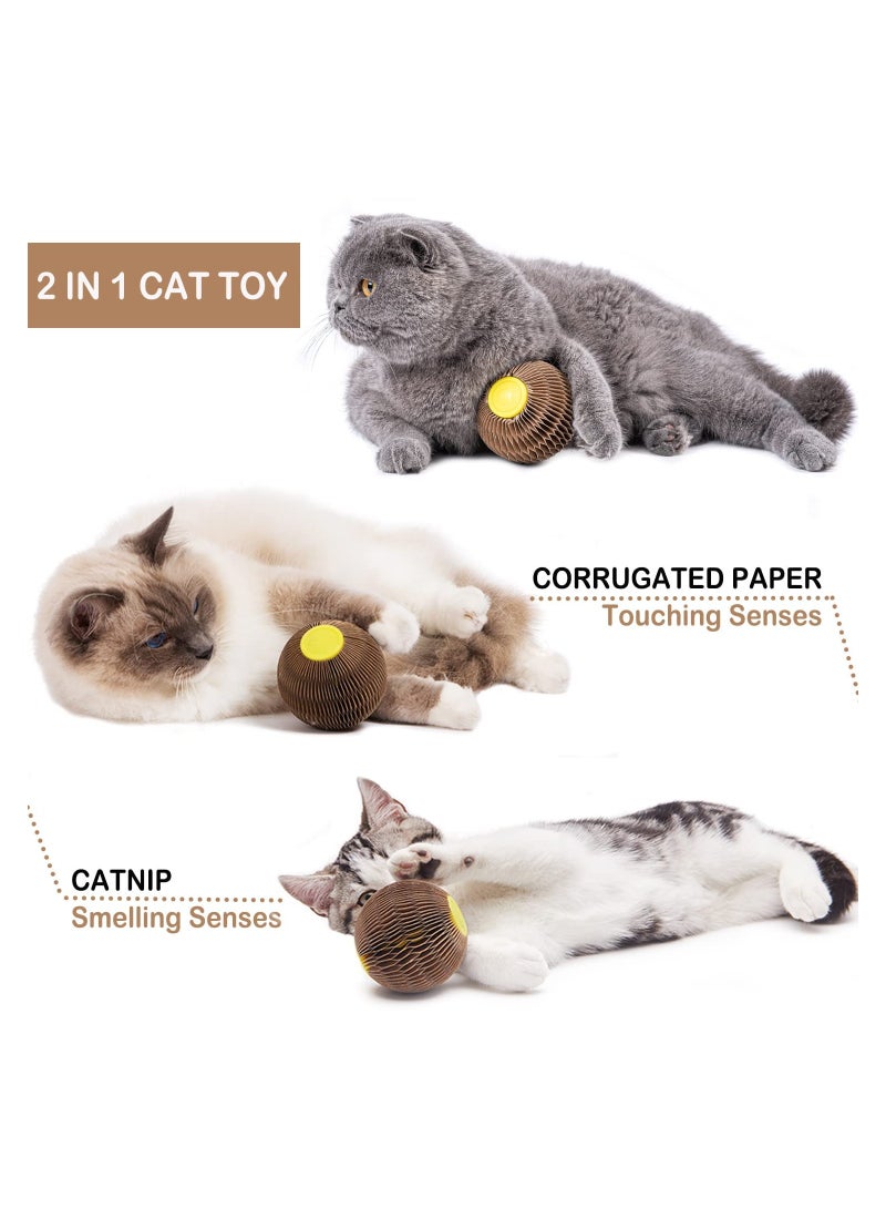 Interactive Catnip Ball Toy for Cats Refillable Fun Ball for Healthy Play Reduces Obesity and Loneliness - Image 2