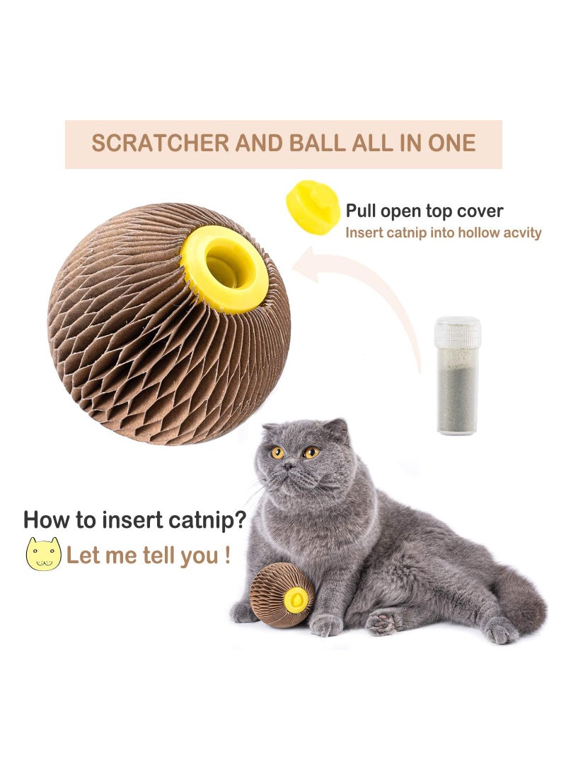 Interactive Catnip Ball Toy for Cats Refillable Fun Ball for Healthy Play Reduces Obesity and Loneliness - Image 3