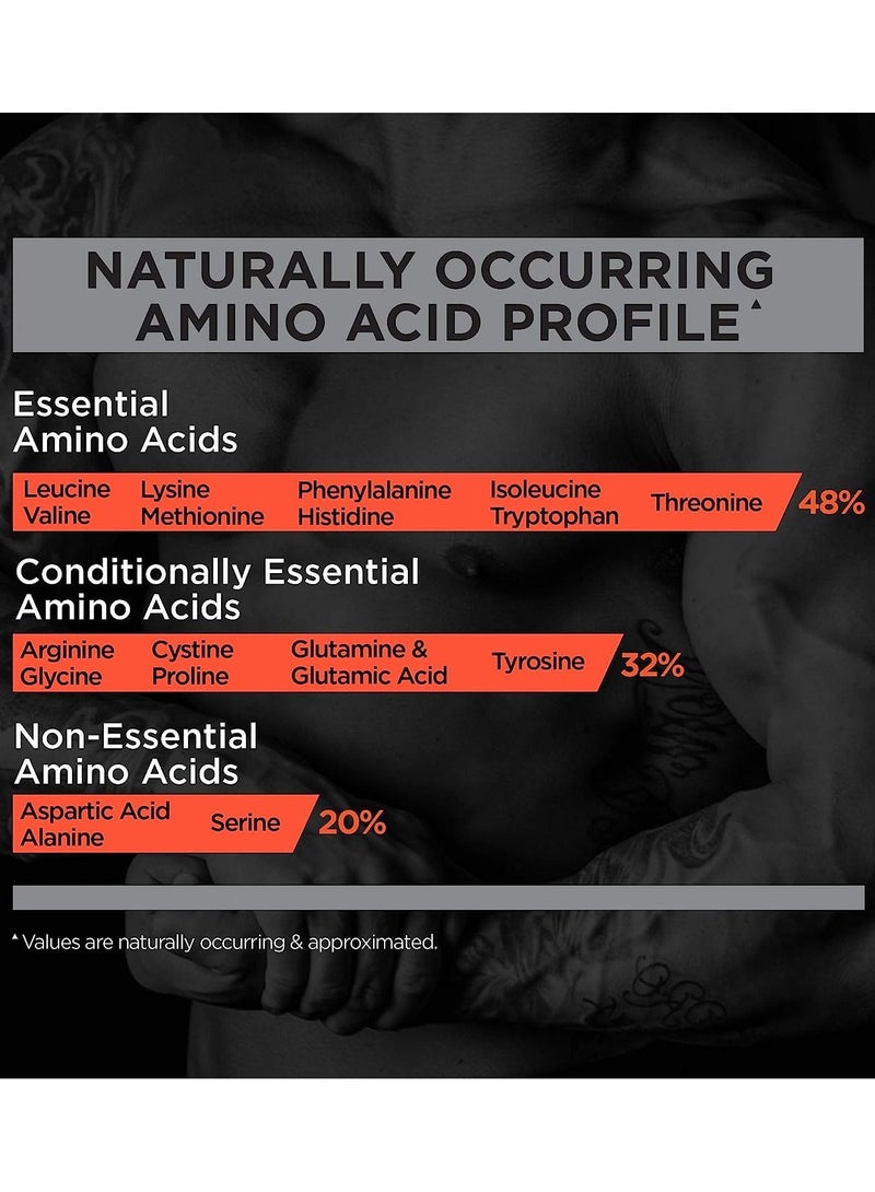 Rule One Proteins R1 Protein 100% Whey Protein HYDRO/ISO - Chocolate Fudge - (71 Serving) - Image 2