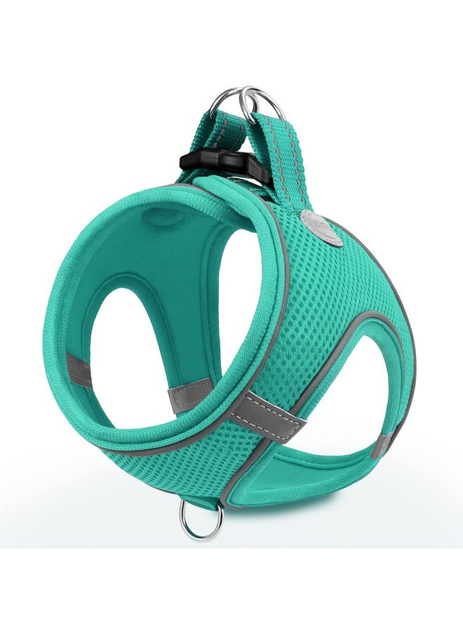 Joytale Small Dog Harness, Breathable Mesh Step-in Vest Harness, Reflective Soft Padded Harnesses for Puppies and Extra Small Dogs, Teal, XS - pzsku/ZEE76D178F90884FBC4C2Z/45/_/1736426746/32f05e0b-4a56-4ecd-9d6e-425bc8af59b9