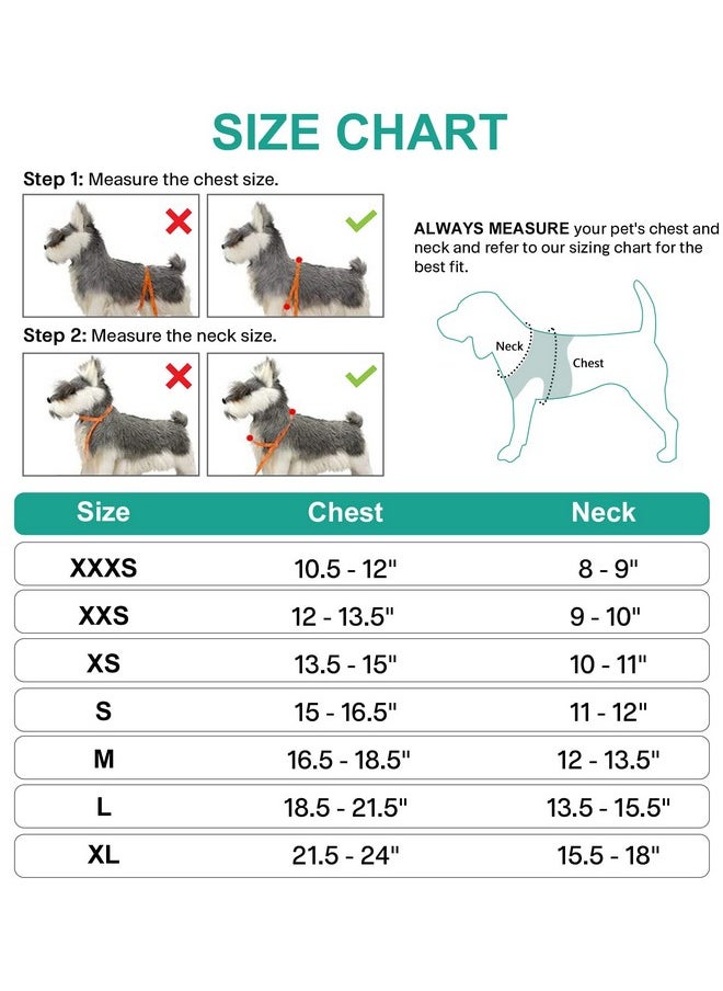 Joytale Small Dog Harness, Breathable Mesh Step-in Vest Harness, Reflective Soft Padded Harnesses for Puppies and Extra Small Dogs, Teal, XS