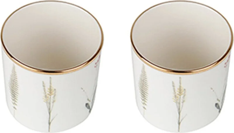 Porland Botanical Set of 2 Glasses 230 cc