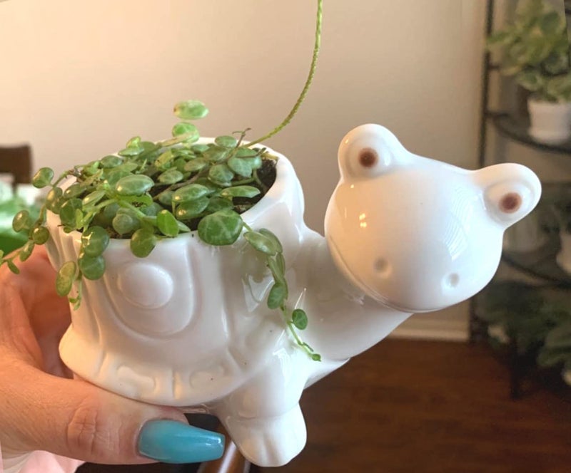 GeLive Tortoise Succulent Planter Turtle Plant Pot Animal Fun Vase Window Box Cute Home Decoration, 5 Inch, Indoor Outdoor - Image 2