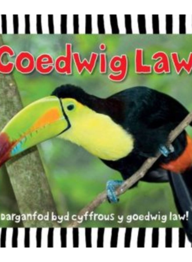 Cyfres Dwlu Dysgu: Coedwig Law 