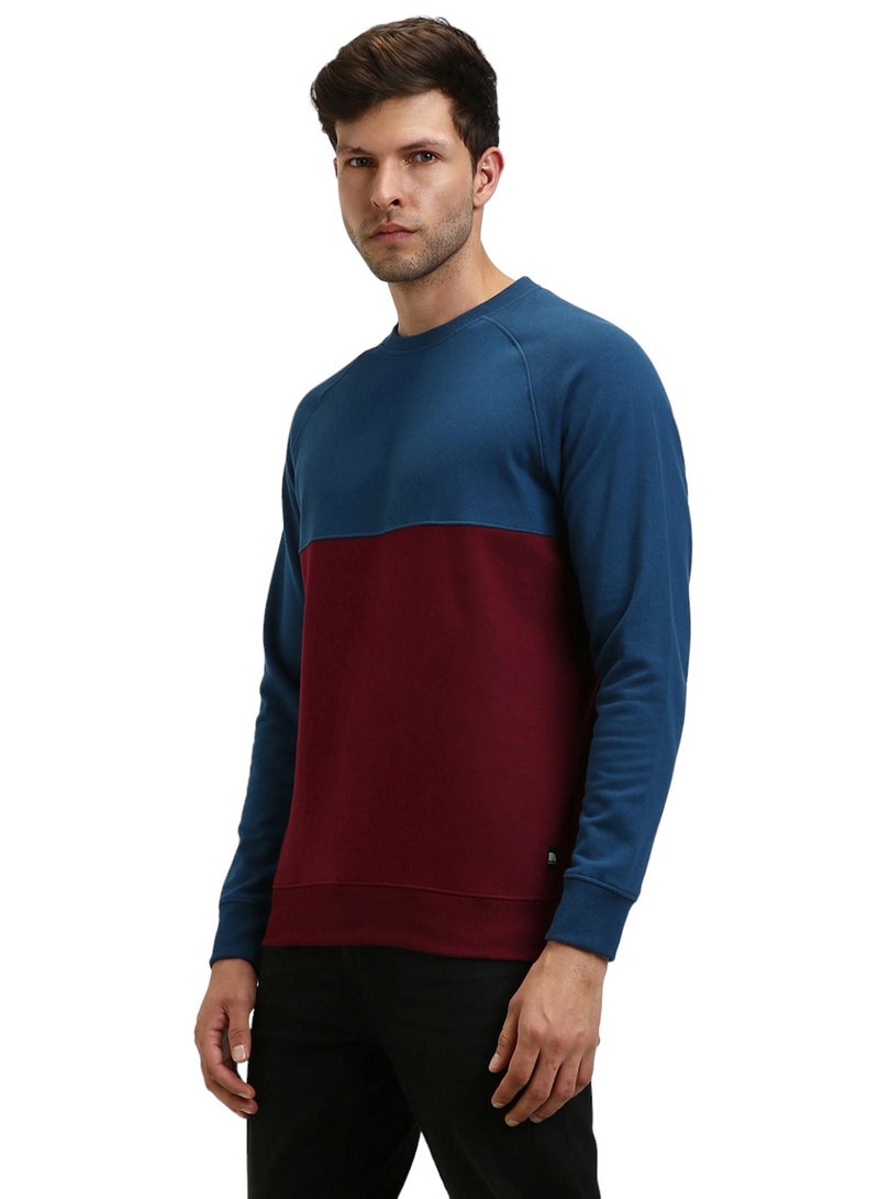 Dennis Lingo Regular Fit Blue Colourblocked Round Neck Sweatshirt for Men - Polycotton, Full Sleeves  - Image 3