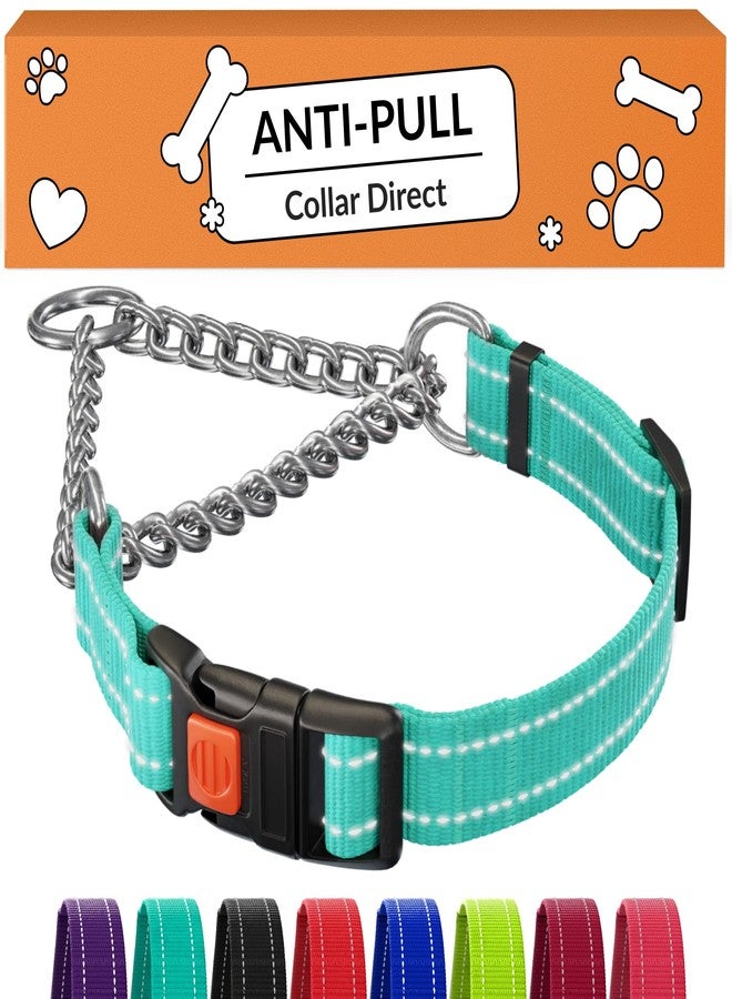 CollarDirect Martingale Dog Collar Heavy Duty Nylon Slip Collars for Small Medium Large Dogs [Stainless Steel Chain and Quick Release Buckle, Reflective, Mint Green, S, 12"-15"] - Image 1