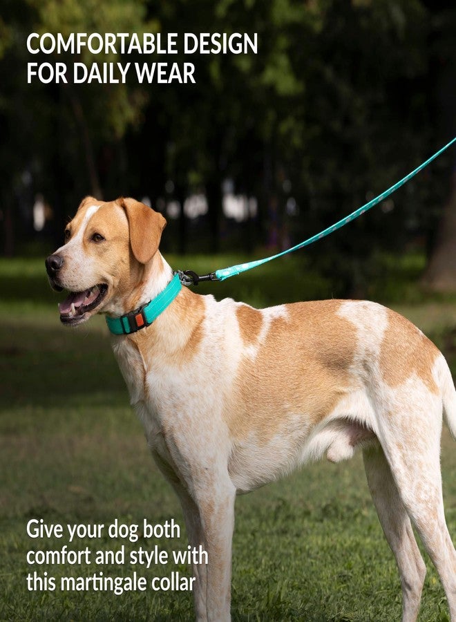 CollarDirect Martingale Dog Collar Heavy Duty Nylon Slip Collars for Small Medium Large Dogs [Stainless Steel Chain and Quick Release Buckle, Reflective, Mint Green, S, 12"-15"] - Image 5