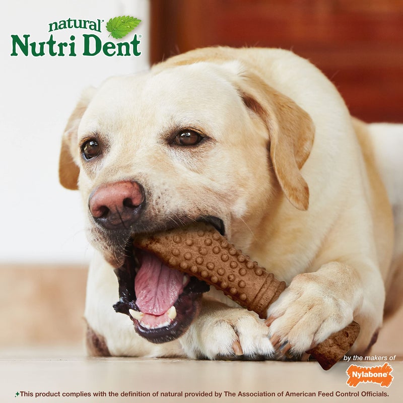 Nylabone Nutri Dent Dog Dental Chews - Natural Dog Teeth Cleaning & Breath Freshener - Dental Treats for Dogs - Filet Mignon Flavor, X-Large (1 Count) - Image 5