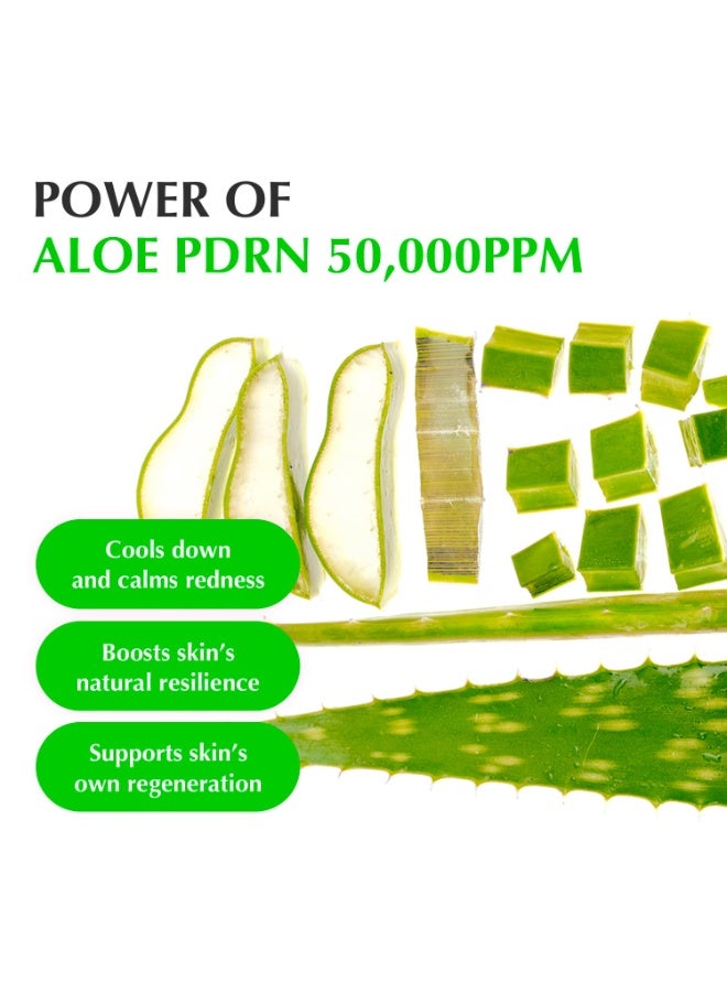 إيكوالبيري سيروم EQQUALBERRY Aloe PDRN المهدئ - عناية كورية مهدئة للبشرة الحساسة، مستخلص السيكا والصبار لإصلاح البشرة وترطيبها وإشراقتها، غير كوميدوغينيك (30 مل/1.01 أونصة) - Image 5
