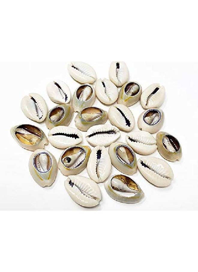 crispy collection - Tomorrow Sea Shell Cutted Hair Beads Cowrie Dreadlocks Braid Bead Decoration 2Packs (Shb1) - Image 1