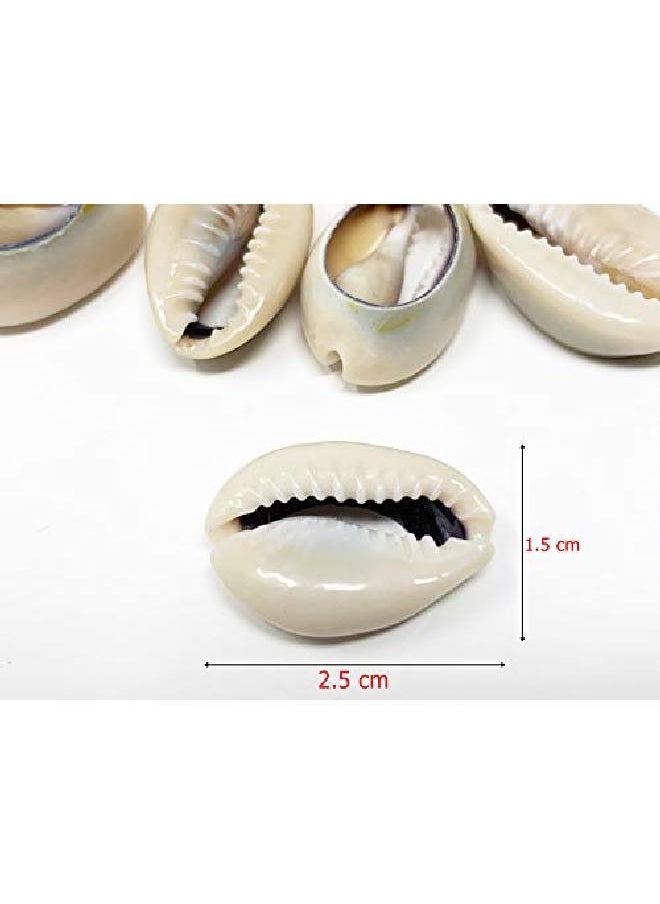 crispy collection - Tomorrow Sea Shell Cutted Hair Beads Cowrie Dreadlocks Braid Bead Decoration 2Packs (Shb1) - Image 1
