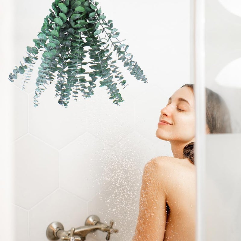 CENELO Green Dried Eucalyptus Bundle 12 Pcs Real Stems 17 Inch Fresh Natural Eucalyptus Branches for Home Decor Shower Flower Arrangement Wedding Gift - Image 2
