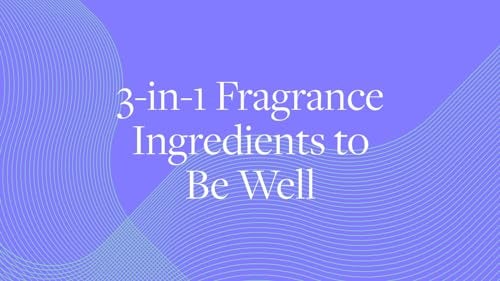 AERA عطر أيرا هوم هايجين باللافندر والبرغموت - زيت أساسي للمنزل - رائحة مريحة - نوتات من اللافندر واللافندين والنعناع البري - إعادة تعبئة العطر - يعمل مع موزع أيرا - Image 3