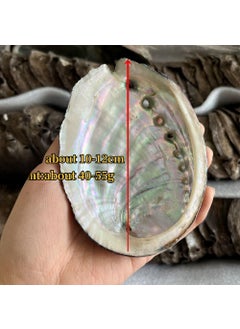 1 x 5 pcs Sage Smudge Abalone Shell Decorative Holder Pearl abalone shell (10-12cm) - pzsku/ZEE7EB292F2852B313446Z/45/_/1732631776/e38ed25f-73f6-4ab4-957f-8bd16b214c9f