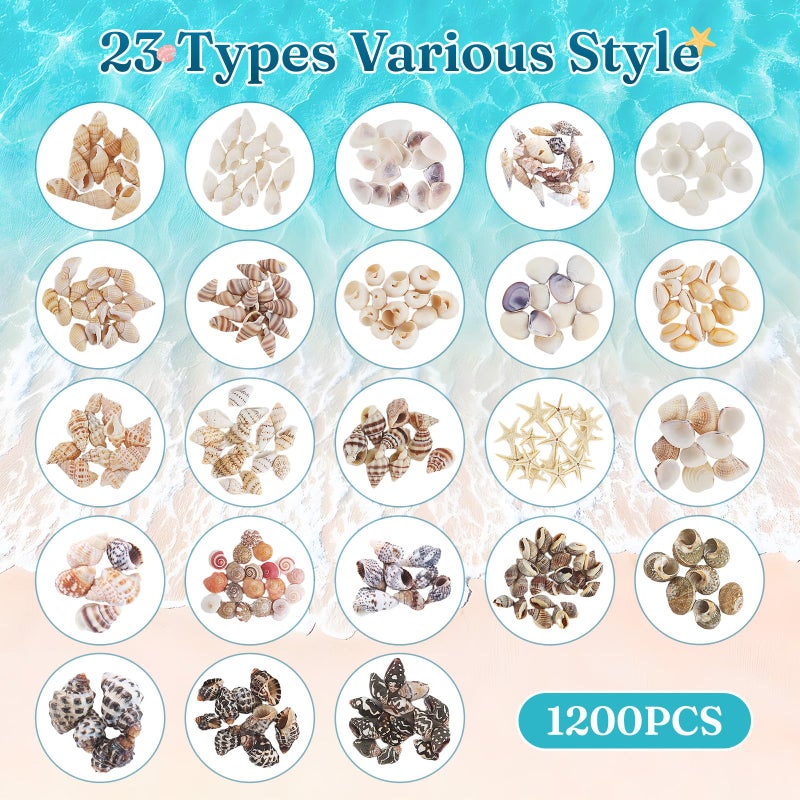 Zefy 23 Types Small Sea Shells for Crafts, 1200 Pcs Tiny Seashells with Mixed Size Starfish, Mini Shells for Vase Filler Beach Theme Party Home Decor - Image 2