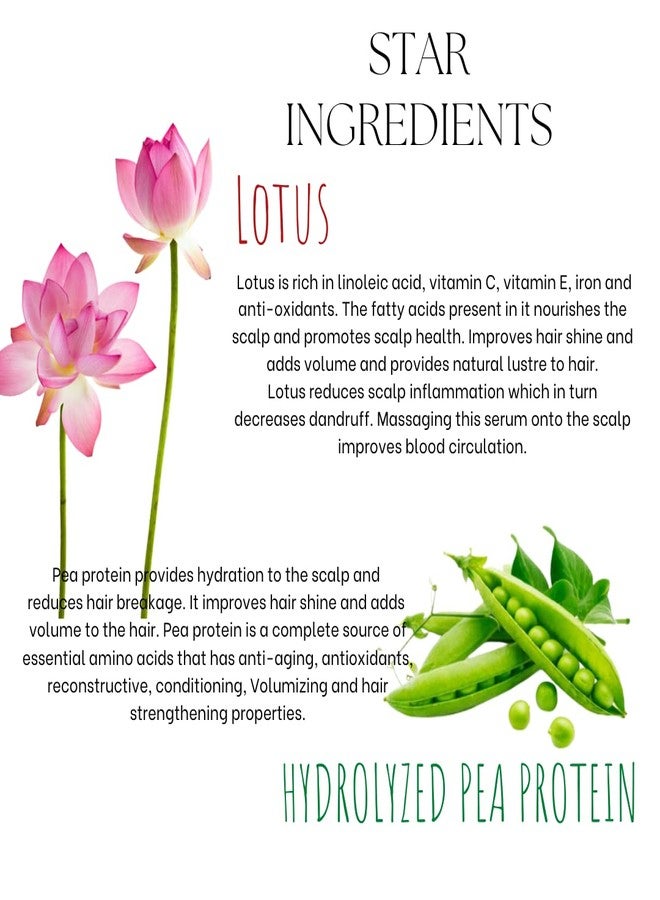EcoBerry Lotus Hair Root Strengthening Serum For Hair Growth Men, Women, Scalp Serum Hair fall control Hair Volumizing, Water Based, Natural & Handmade, Chemical Free Silicone Free Paraben Free, Vegan - Image 3