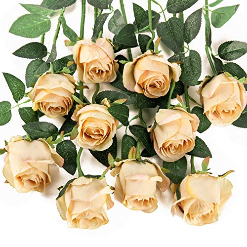 Flojery 10pcs Artificial Rose Flowers Long Stem Fake Silk Roses for DIY Wedding Bouquet Table Centerpiece Home Decor,Champagne - Image 1