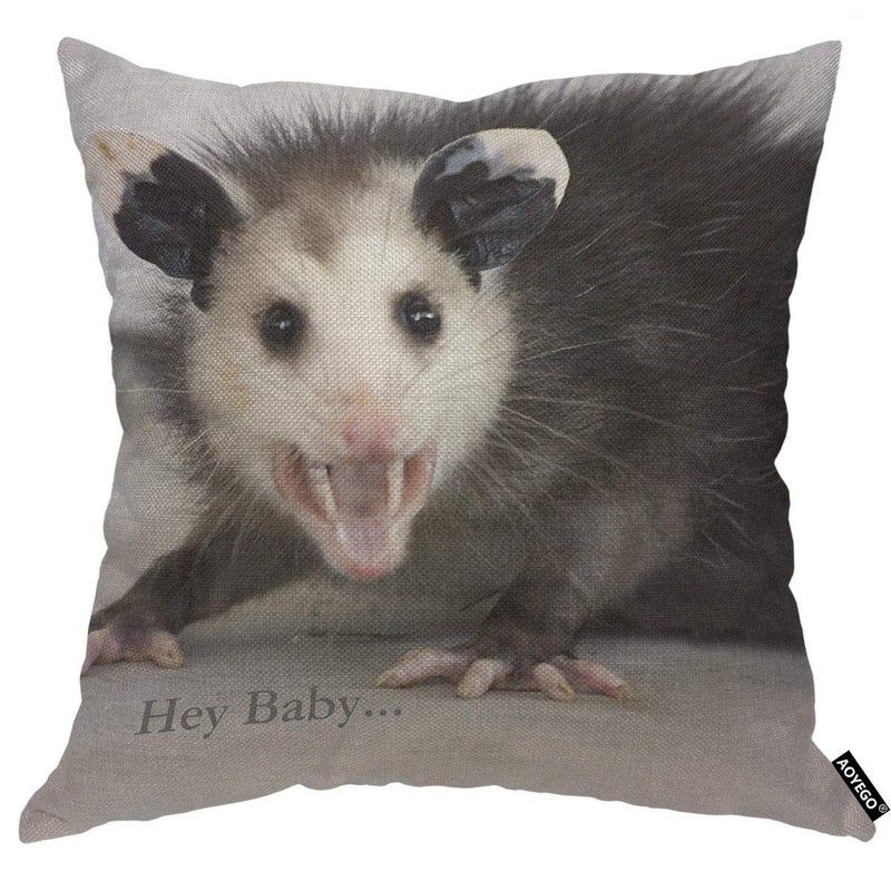AOYEGO Hey Baby Opossum Throw Pillow Cover Cute Animal Pillow Case 18x18 Inch Decorative Men Women Room Cushion Covers for Home Couch Bed