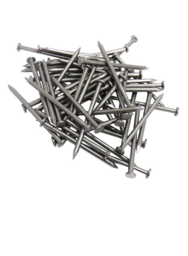 High Strength Round Head Nails For Carpentry Hardware Electrical Etc (25, 3 inch) - Image 1