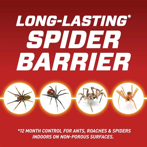 Ortho Home Defense Insect Killer for Indoor and Perimeter Refill2, Controls Ants, Roaches, Spiders and More, 1 gal - Image 2