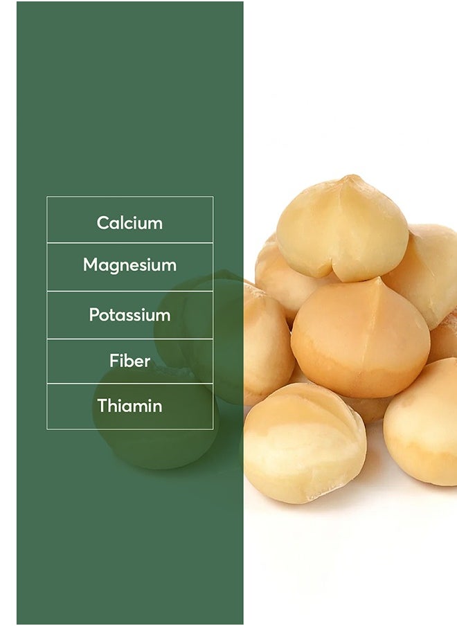 The Caphe Vietnam Premium Macadamia Nuts - 500 G | VIP Size Without Shell | Unsalted & Roasted | Premium Vietnamese Macadamia Nuts  - Image 2