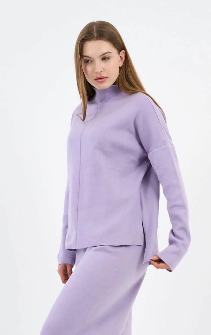 Alexander Gardi Half Turtleneck Side Slit Knit Sweater (A90944-S-UST)
