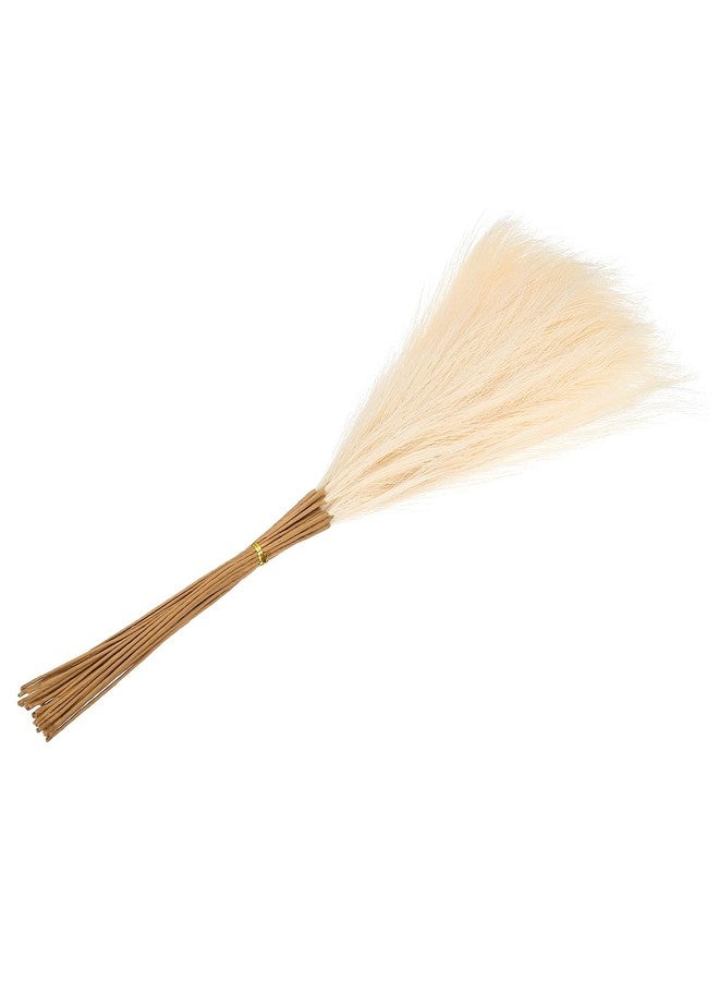 باتيكيل، 24 بوصة، ديكور عشب البامباس، 30 قطعة من عشب البامباس الصناعي المجفف الصغير، مناسب لتزيين المنزل بأسلوب بوهيمي، مزهرية، طاولات حفلات الزفاف، قطع مركزية، جدار، مكتب، بيج - Image 4