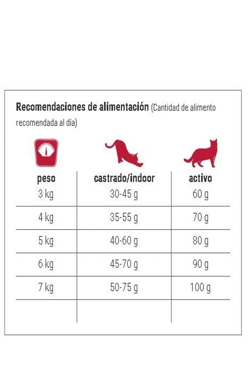 بيوي كات طعام جاف بالأسماك البحرية للقطط البالغة العادية والمعقمة – 1 كجم - Image 3