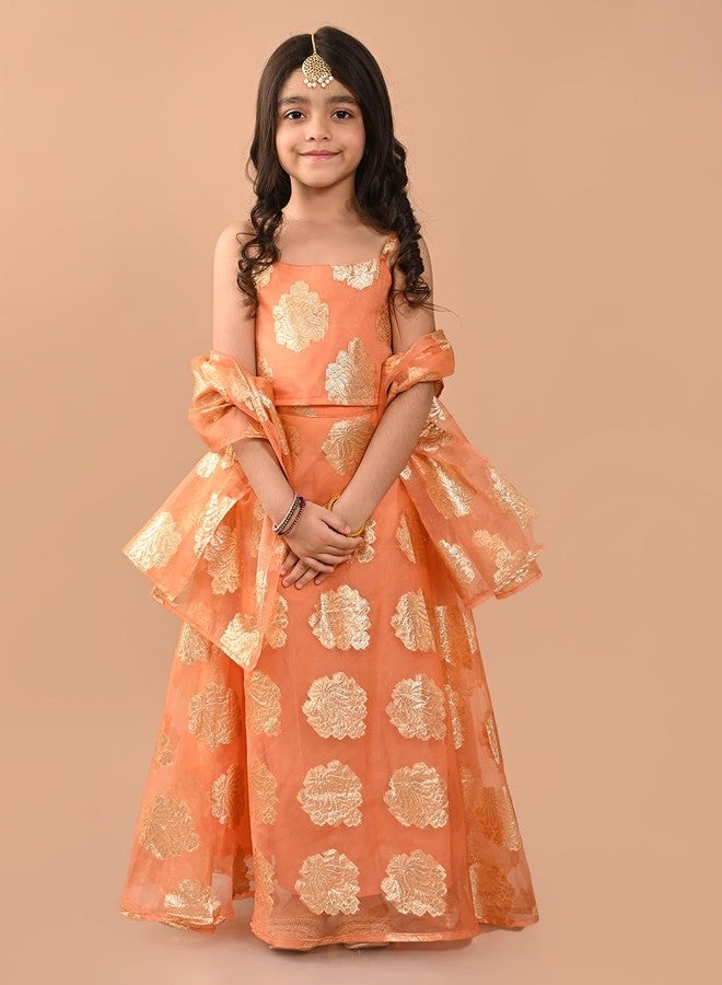 LILPICKS طقم ليليبيكس زاري مزين بلا أكمام مع تنورة فضفاضة ودوپاتا للفتيات (خوخي ذهبي) (13-14 سنة) - Image 4