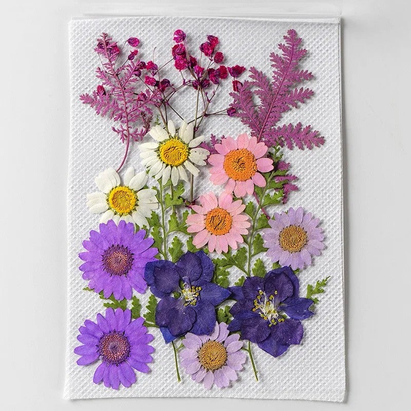 Bluejw DIY Dried Pressed Flowers for Resin Art, Makeup, Crafts - Natural Mixed Plants Kit for Christmas & Mother's Day - Image 3